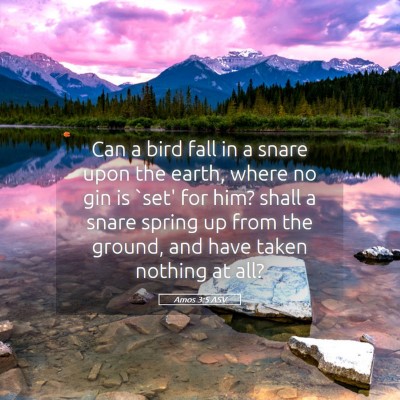 Picture 05 - Amos 3:5 ASV - Can a bird fall in a snare upon the earth, where - Bible Verse Picture