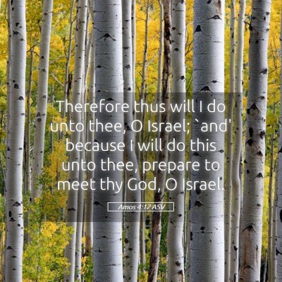 Picture 05 - Amos 4:12 ASV - Therefore thus will I do unto thee, O Israel; - Bible Verse Picture