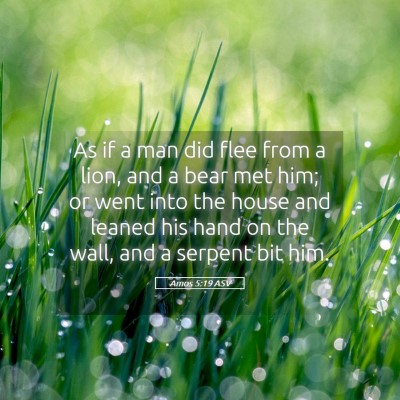 Picture 05 - Amos 5:19 ASV - As if a man did flee from a lion, and a bear met - Bible Verse Picture