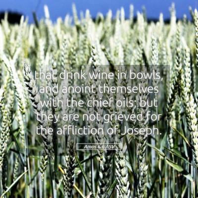 Picture 05 - Amos 6:6 ASV - that drink wine in bowls, and anoint themselves - Bible Verse Picture