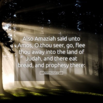 Picture 05 - Amos 7:12 ASV - Also Amaziah said unto Amos, O thou seer, go, - Bible Verse Picture