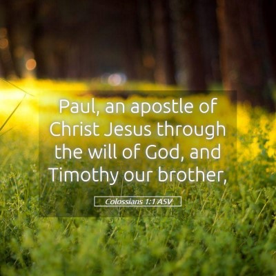 Picture 05 - Colossians 1:1 ASV - Paul, an apostle of Christ Jesus through the will - Bible Verse Picture