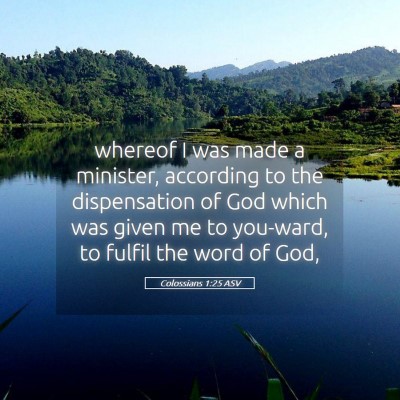 Picture 05 - Colossians 1:25 ASV - whereof I was made a minister, according to the - Bible Verse Picture