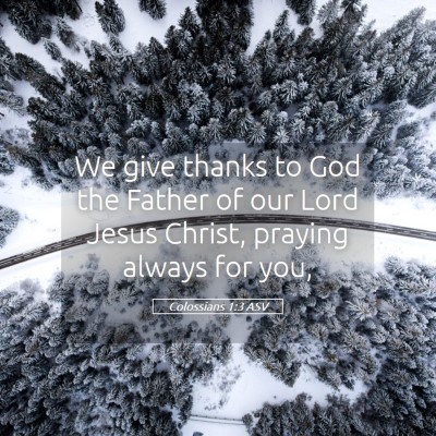 Picture 05 - Colossians 1:3 ASV - We give thanks to God the Father of our Lord - Bible Verse Picture