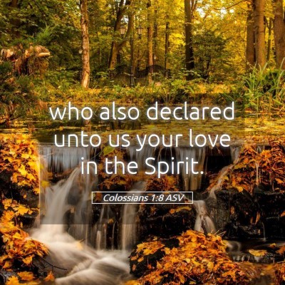 Picture 05 - Colossians 1:8 ASV - who also declared unto us your love in the - Bible Verse Picture