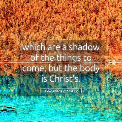 Picture 05 - Colossians 2:17 ASV - which are a shadow of the things to come; but the - Bible Verse Picture