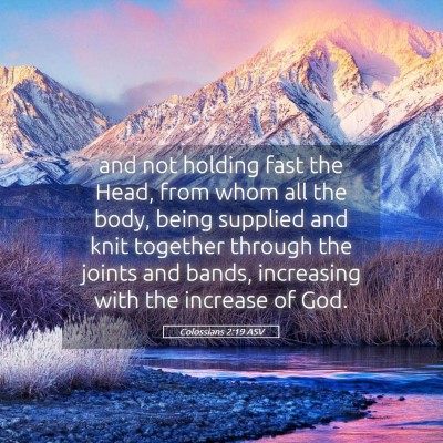 Picture 05 - Colossians 2:19 ASV - and not holding fast the Head, from whom all the - Bible Verse Picture