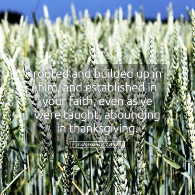 Picture 05 - Colossians 2:7 ASV - rooted and builded up in him, and established in - Bible Verse Picture