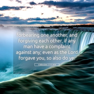 Picture 05 - Colossians 3:13 ASV - forbearing one another, and forgiving each other, - Bible Verse Picture