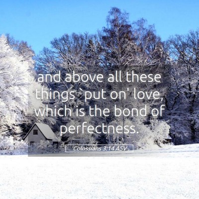 Picture 05 - Colossians 3:14 ASV - and above all these things `put on' love, which - Bible Verse Picture