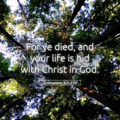 Picture 05 - Colossians 3:3 ASV - For ye died, and your life is hid with Christ in - Bible Verse Picture