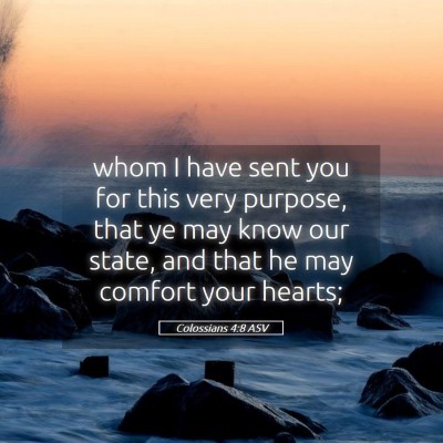 Picture 05 - Colossians 4:8 ASV - whom I have sent you for this very purpose, that - Bible Verse Picture