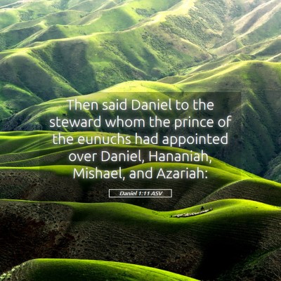Picture 05 - Daniel 1:11 ASV - Then said Daniel to the steward whom the prince - Bible Verse Picture