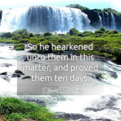 Picture 05 - Daniel 1:14 ASV - So he hearkened unto them in this matter, and - Bible Verse Picture