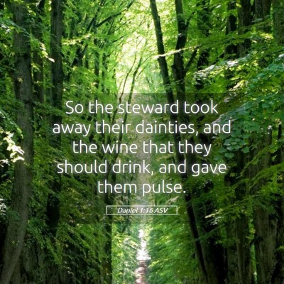 Picture 05 - Daniel 1:16 ASV - So the steward took away their dainties, and the - Bible Verse Picture