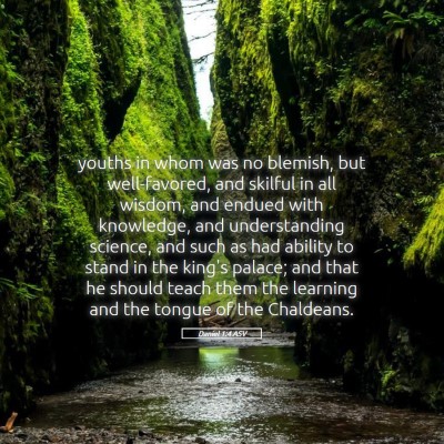 Picture 05 - Daniel 1:4 ASV - youths in whom was no blemish, but well-favored, - Bible Verse Picture