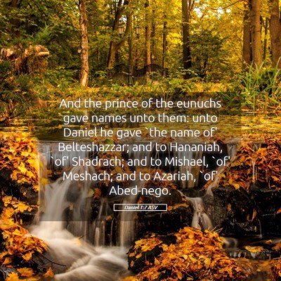 Picture 05 - Daniel 1:7 ASV - And the prince of the eunuchs gave names unto - Bible Verse Picture