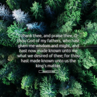 Picture 05 - Daniel 2:23 ASV - I thank thee, and praise thee, O thou God of my - Bible Verse Picture
