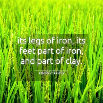 Picture 05 - Daniel 2:33 ASV - its legs of iron, its feet part of iron, and part - Bible Verse Picture
