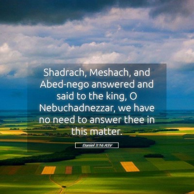 Picture 05 - Daniel 3:16 ASV - Shadrach, Meshach, and Abed-nego answered and - Bible Verse Picture