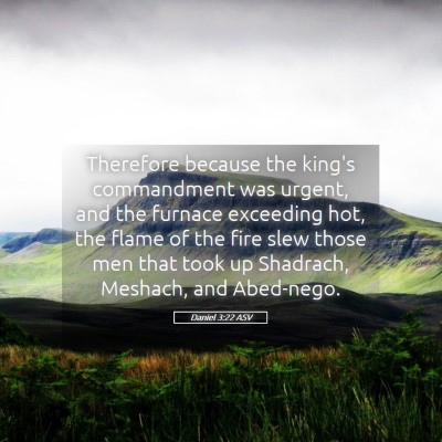 Picture 05 - Daniel 3:22 ASV - Therefore because the king's commandment was - Bible Verse Picture