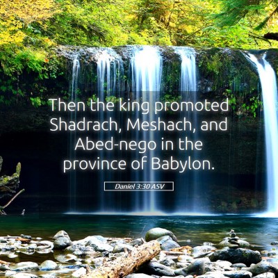 Picture 05 - Daniel 3:30 ASV - Then the king promoted Shadrach, Meshach, and - Bible Verse Picture