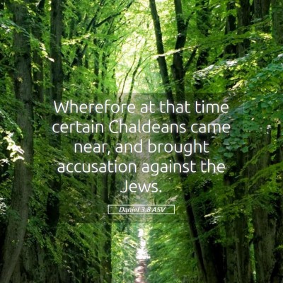 Picture 05 - Daniel 3:8 ASV - Wherefore at that time certain Chaldeans came - Bible Verse Picture