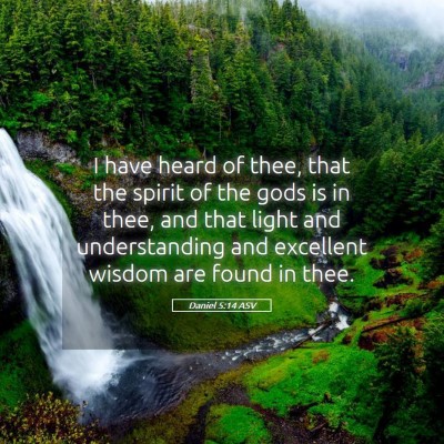 Picture 05 - Daniel 5:14 ASV - I have heard of thee, that the spirit of the gods - Bible Verse Picture