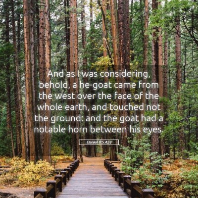 Picture 05 - Daniel 8:5 ASV - And as I was considering, behold, a he-goat came - Bible Verse Picture