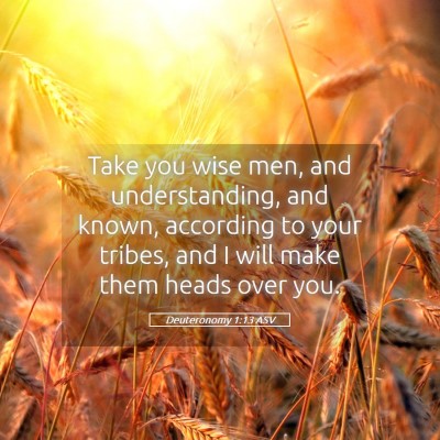 Picture 05 - Deuteronomy 1:13 ASV - Take you wise men, and understanding, and known, - Bible Verse Picture