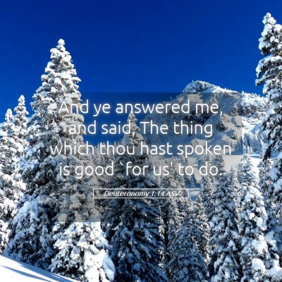 Picture 05 - Deuteronomy 1:14 ASV - And ye answered me, and said, The thing which - Bible Verse Picture