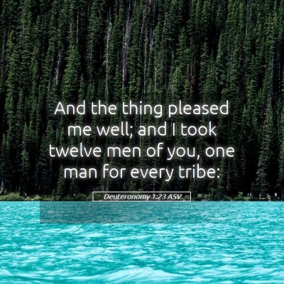 Picture 05 - Deuteronomy 1:23 ASV - And the thing pleased me well; and I took twelve - Bible Verse Picture