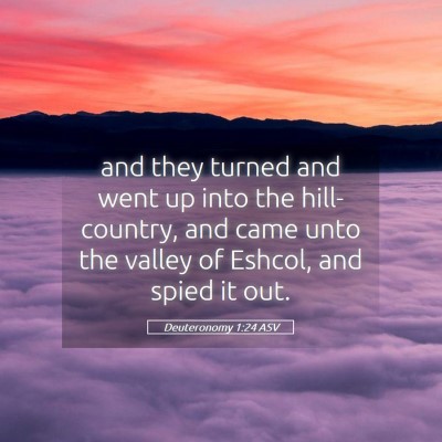 Picture 05 - Deuteronomy 1:24 ASV - and they turned and went up into the - Bible Verse Picture