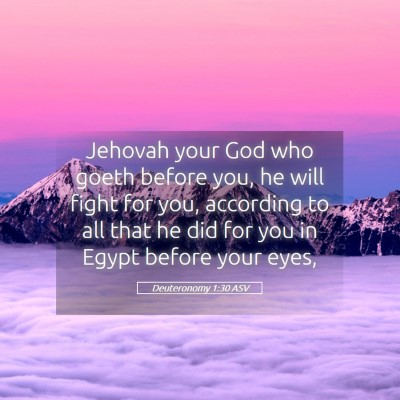 Picture 05 - Deuteronomy 1:30 ASV - Jehovah your God who goeth before you, he will - Bible Verse Picture