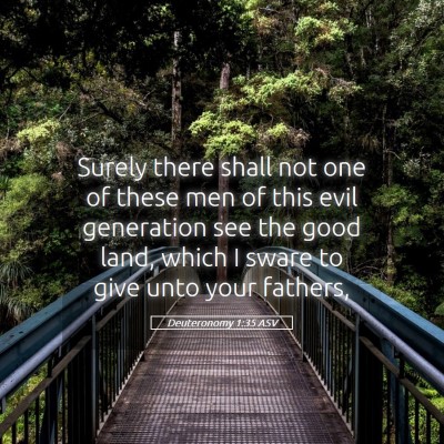 Picture 05 - Deuteronomy 1:35 ASV - Surely there shall not one of these men of this - Bible Verse Picture