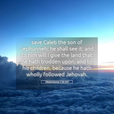 Picture 05 - Deuteronomy 1:36 ASV - save Caleb the son of Jephunneh: he shall see it; - Bible Verse Picture