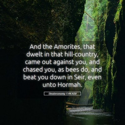 Picture 05 - Deuteronomy 1:44 ASV - And the Amorites, that dwelt in that - Bible Verse Picture
