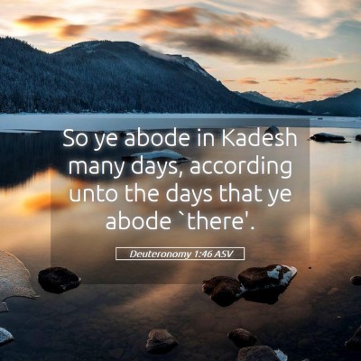 Picture 05 - Deuteronomy 1:46 ASV - So ye abode in Kadesh many days, according unto - Bible Verse Picture