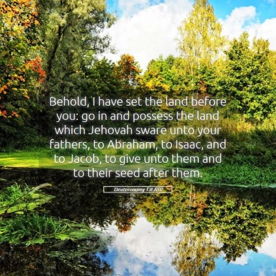 Picture 05 - Deuteronomy 1:8 ASV - Behold, I have set the land before you: go in and - Bible Verse Picture