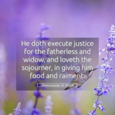 Picture 05 - Deuteronomy 10:18 ASV - He doth execute justice for the fatherless and - Bible Verse Picture