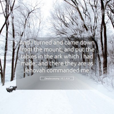 Picture 05 - Deuteronomy 10:5 ASV - And I turned and came down from the mount, and - Bible Verse Picture
