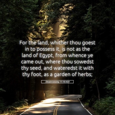 Picture 05 - Deuteronomy 11:10 ASV - For the land, whither thou goest in to possess - Bible Verse Picture