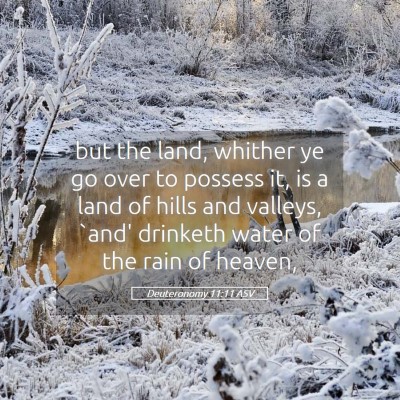 Picture 05 - Deuteronomy 11:11 ASV - but the land, whither ye go over to possess it, - Bible Verse Picture