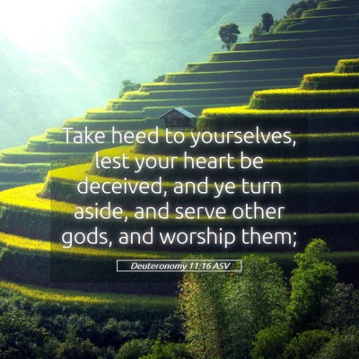 Picture 05 - Deuteronomy 11:16 ASV - Take heed to yourselves, lest your heart be - Bible Verse Picture