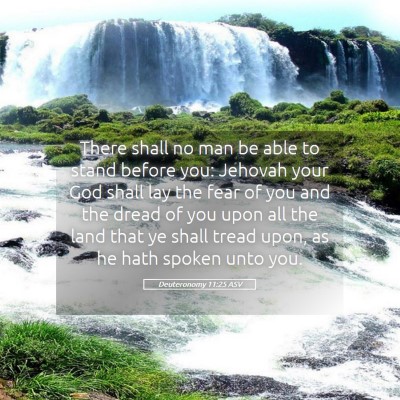 Picture 05 - Deuteronomy 11:25 ASV - There shall no man be able to stand before you: - Bible Verse Picture