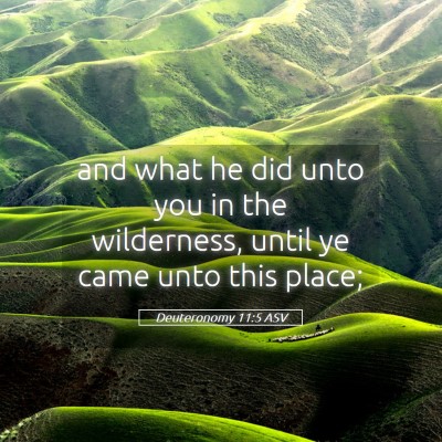 Picture 05 - Deuteronomy 11:5 ASV - and what he did unto you in the wilderness, until - Bible Verse Picture