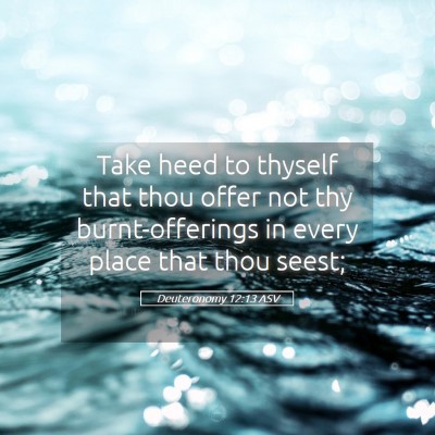 Picture 05 - Deuteronomy 12:13 ASV - Take heed to thyself that thou offer not thy - Bible Verse Picture