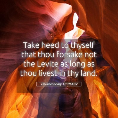 Picture 05 - Deuteronomy 12:19 ASV - Take heed to thyself that thou forsake not the - Bible Verse Picture