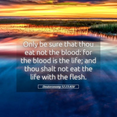 Picture 05 - Deuteronomy 12:23 ASV - Only be sure that thou eat not the blood: for the - Bible Verse Picture