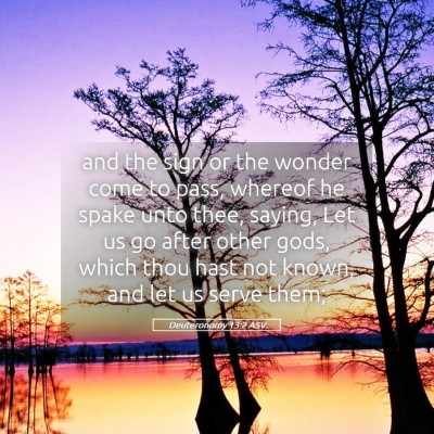 Picture 05 - Deuteronomy 13:2 ASV - and the sign or the wonder come to pass, whereof - Bible Verse Picture
